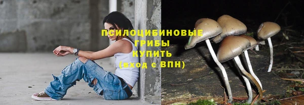 крисы Горняк