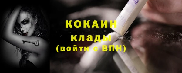 крисы Горняк