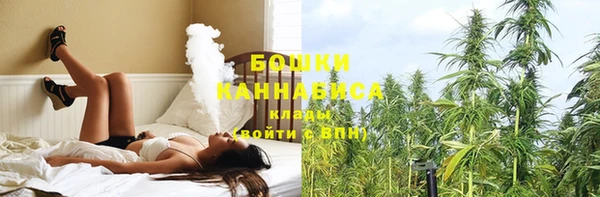 МДПВ Горно-Алтайск