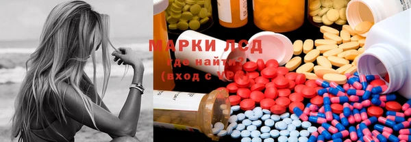 крисы Горняк