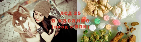 шишки Вязьма